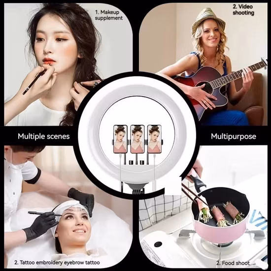 Wholesale 14 Inch Vacuum Tire Motorbike 350W Rear Shock LED Light with Cargo Basket Electric Motor Scooter Electric Moped